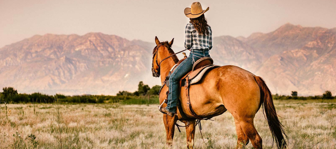 Horse saddle for sale